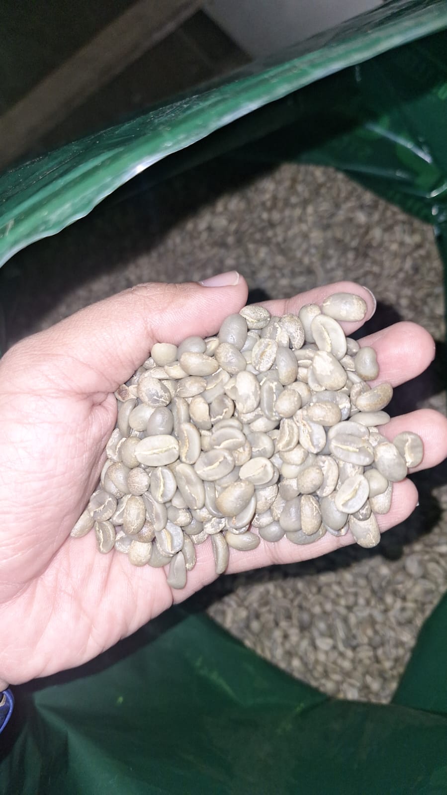 whatsapp image 2025 10 01 at 12.44.20