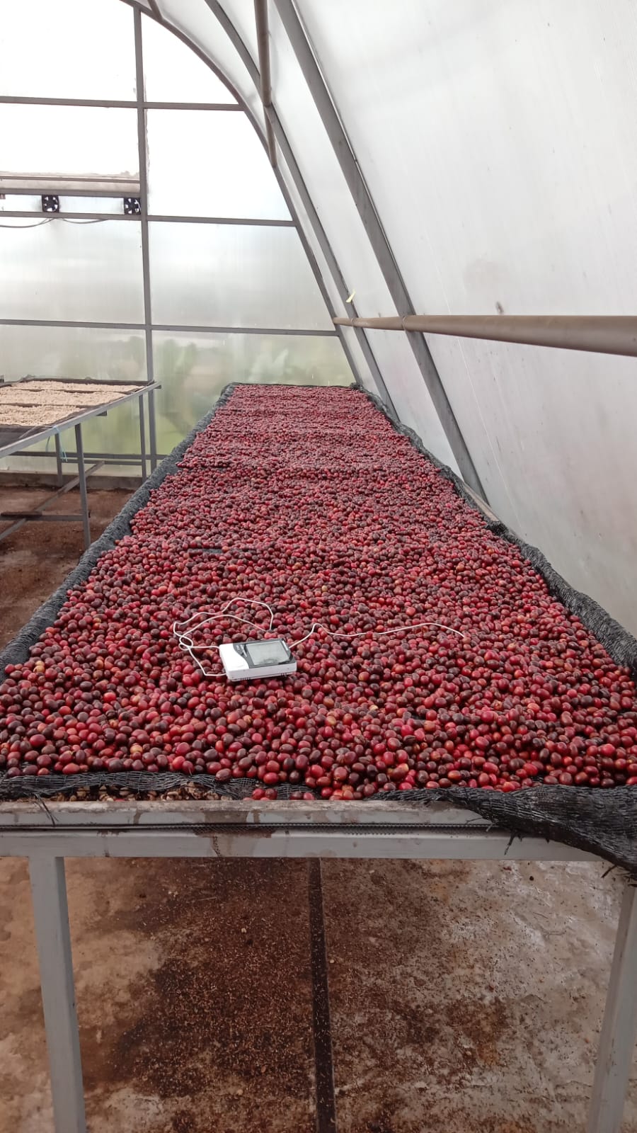 whatsapp image 2025 10 01 at 12.44.21 (1)